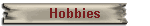 Hobbies